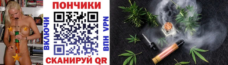 omg зеркало  Онега  Бошки Шишки тримм  закладки 
